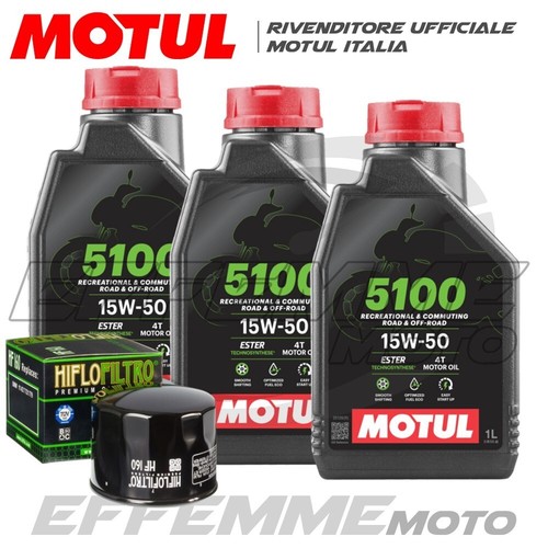 Tagliando bmw 800 - 800, gs